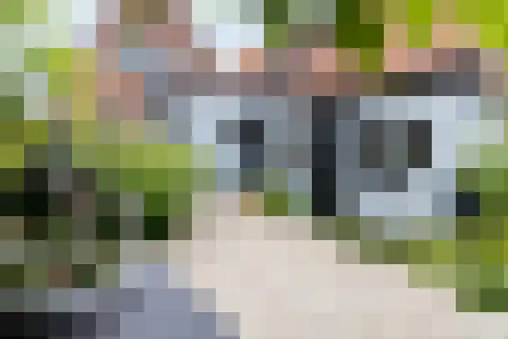 Zwinstraat 62 Den Oever thumbnail 18
