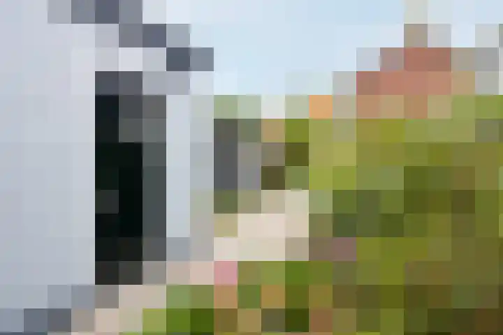 Zwinstraat 62 Den Oever thumbnail 20