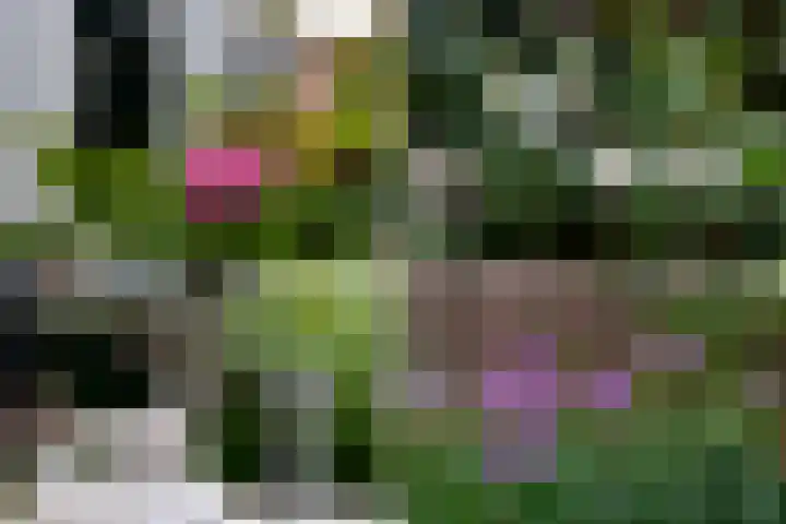 Zwinstraat 62 Den Oever thumbnail 21