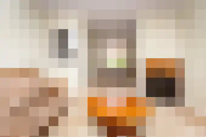 Zwinstraat 62 Den Oever thumbnail 4
