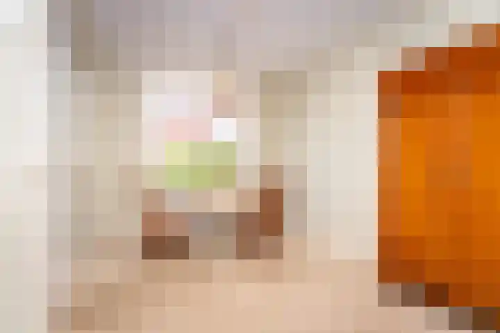 Zwinstraat 62 Den Oever thumbnail 5