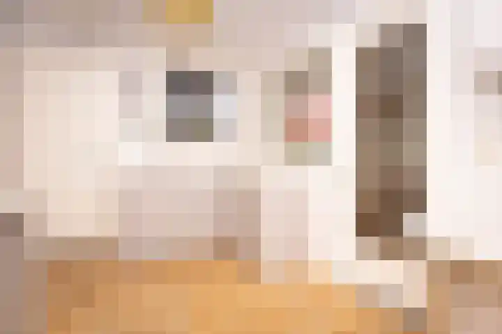 Zwinstraat 62 Den Oever thumbnail 7