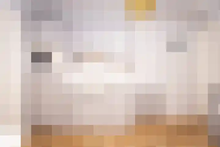 Zwinstraat 62 Den Oever thumbnail 8