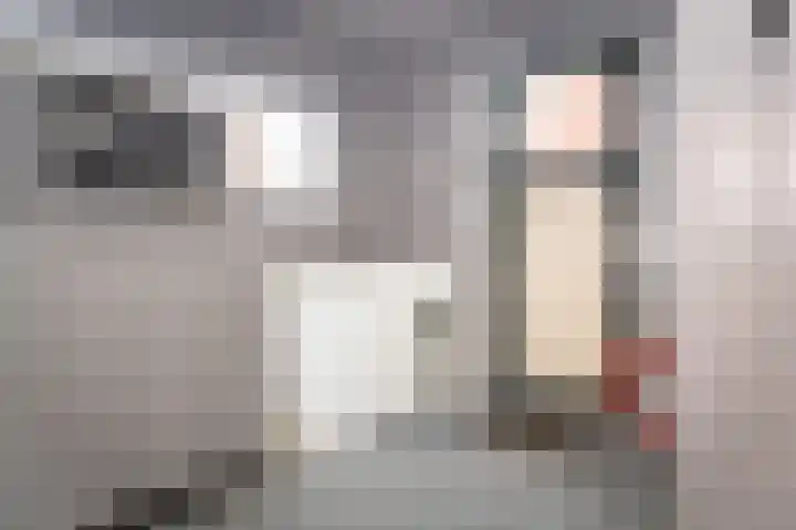 Zwinstraat 62 Den Oever thumbnail 9