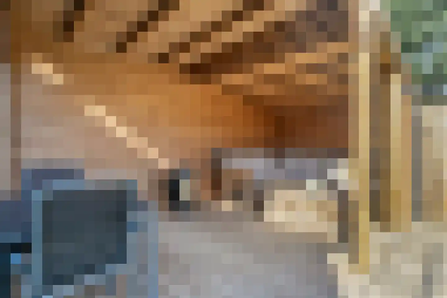 Zwinstraat 7 Zoutelande thumbnail 17