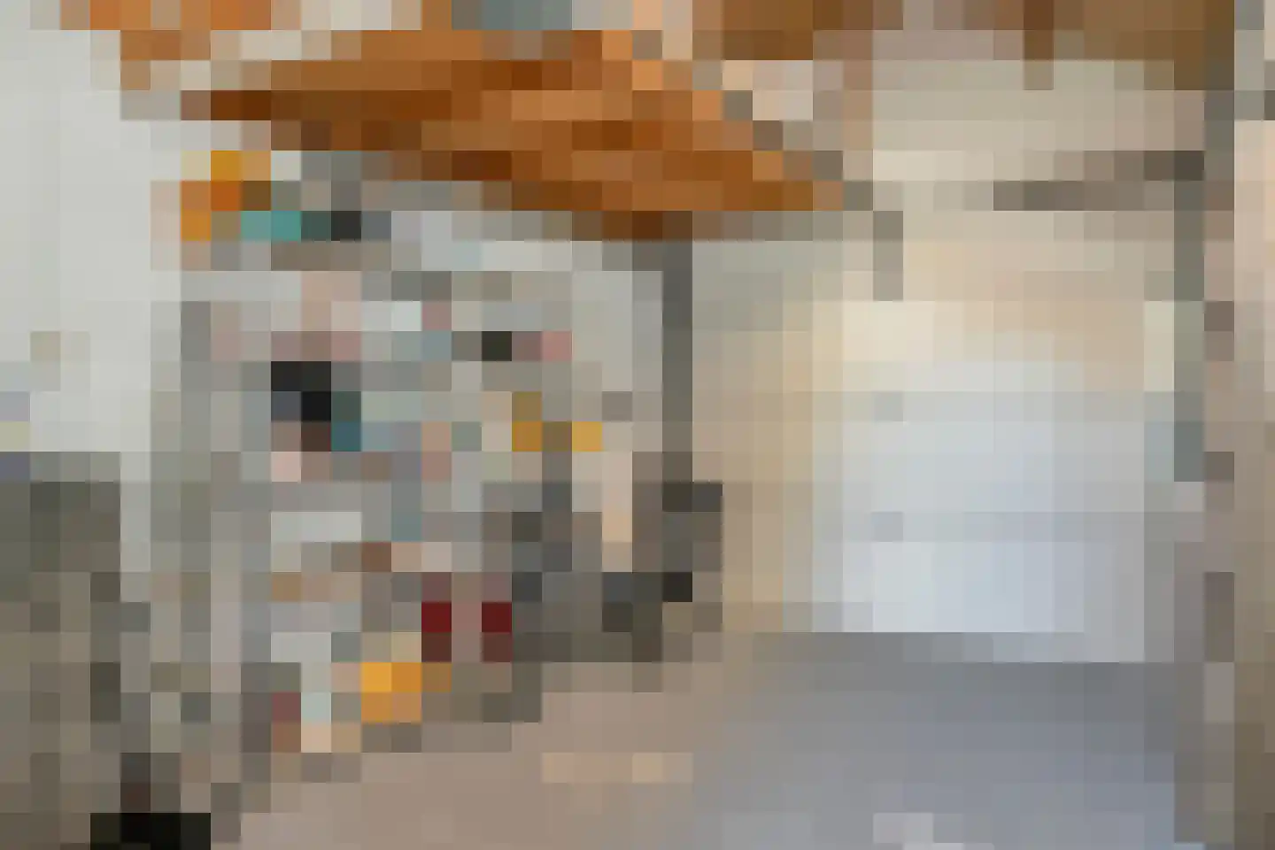 Zwinstraat 7 Zoutelande thumbnail 21