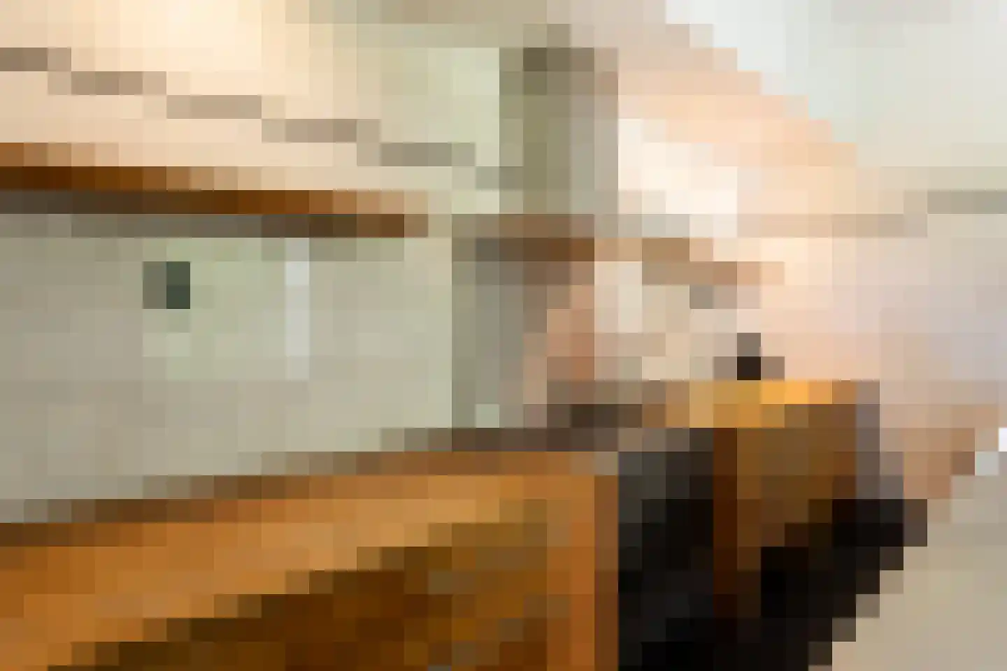 Zwinweg 22 Anna Paulowna thumbnail 17