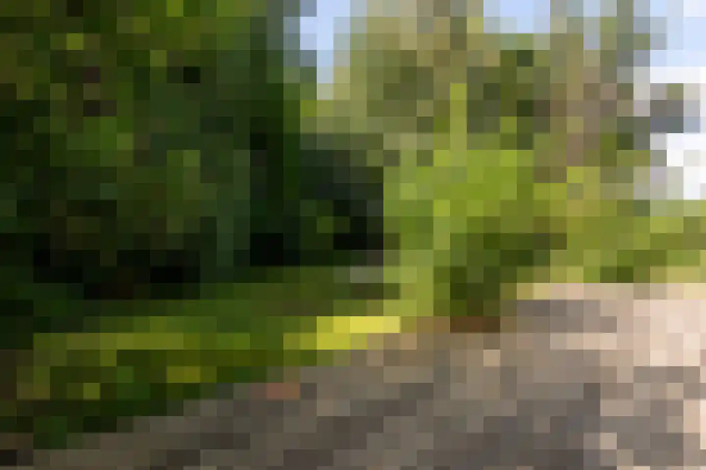 Zwinweg 22 Anna Paulowna thumbnail 20