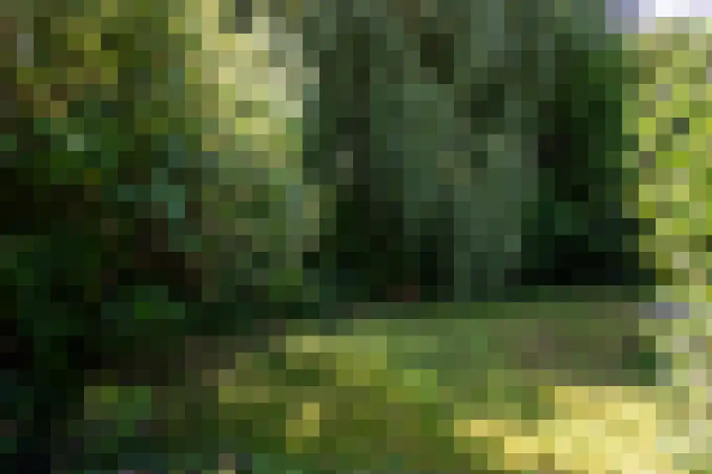 Zwinweg 22 Anna Paulowna thumbnail 21