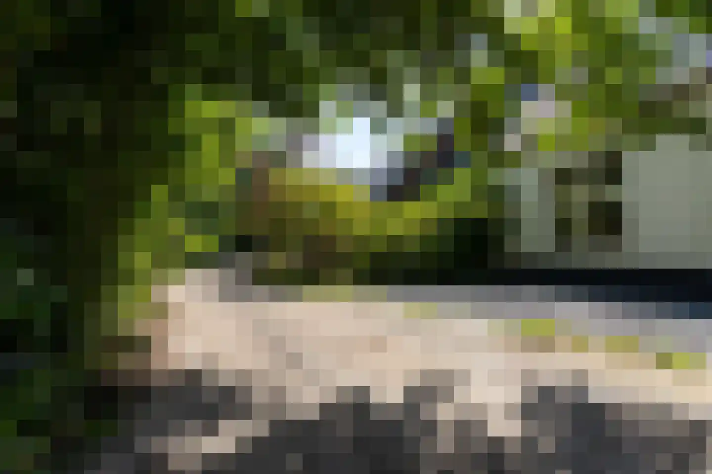 Zwinweg 22 Anna Paulowna thumbnail 24