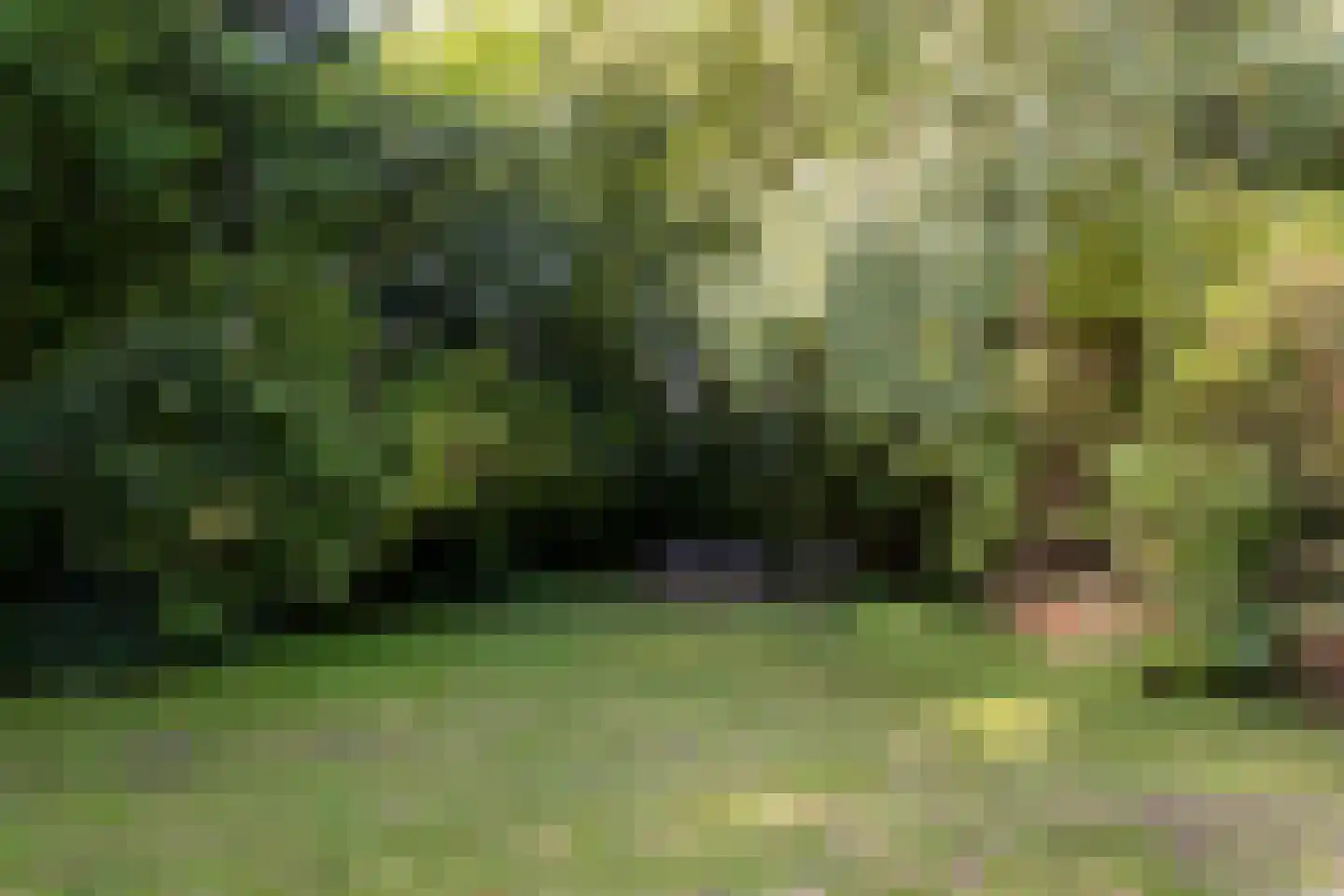Zwinweg 22 Anna Paulowna thumbnail 25