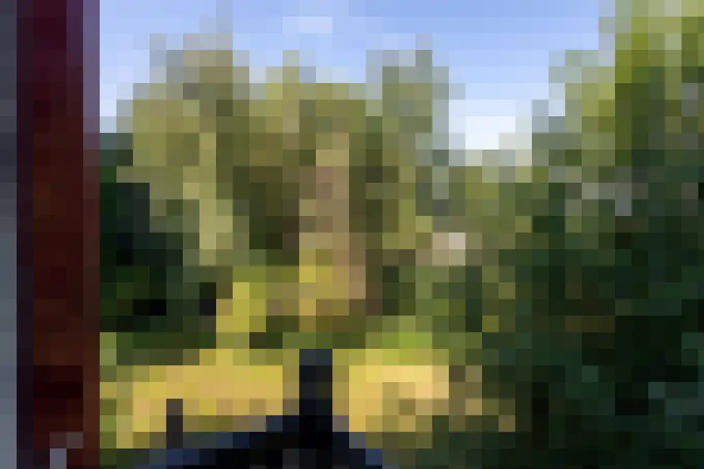 Zwinweg 22 Anna Paulowna thumbnail 37