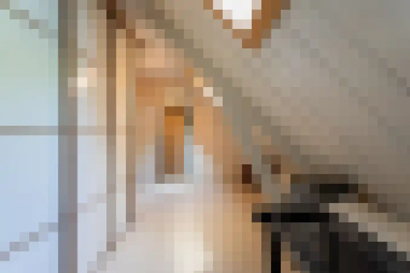 Zwinweg 22 Anna Paulowna thumbnail 42