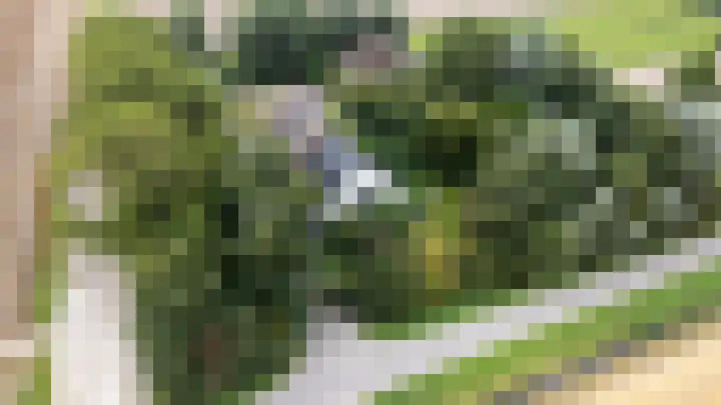 Zwinweg 22 Anna Paulowna thumbnail 5