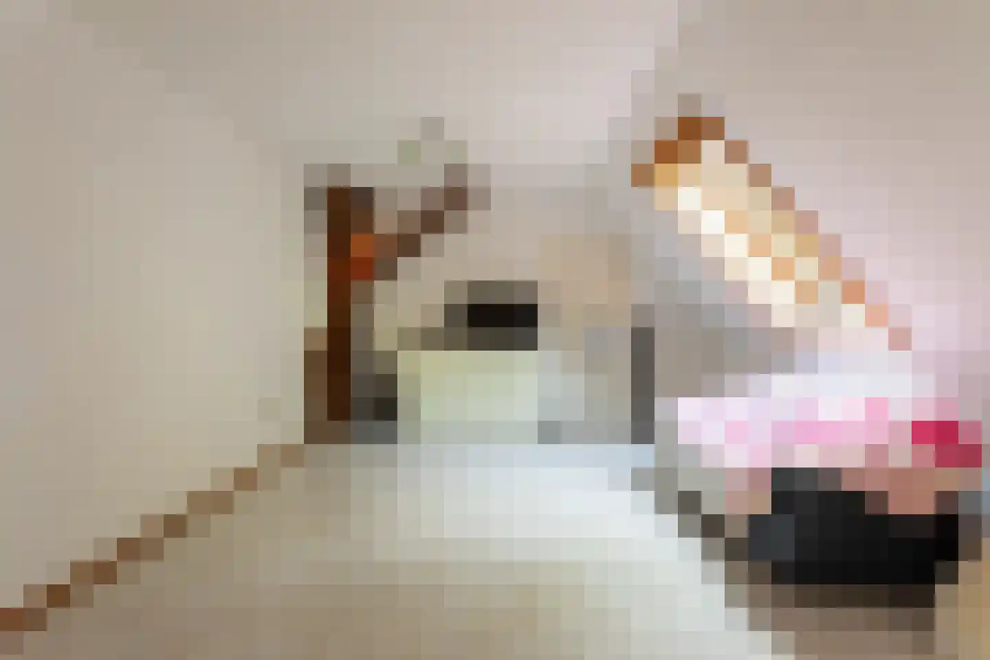 Zwinweg 22 Anna Paulowna thumbnail 56