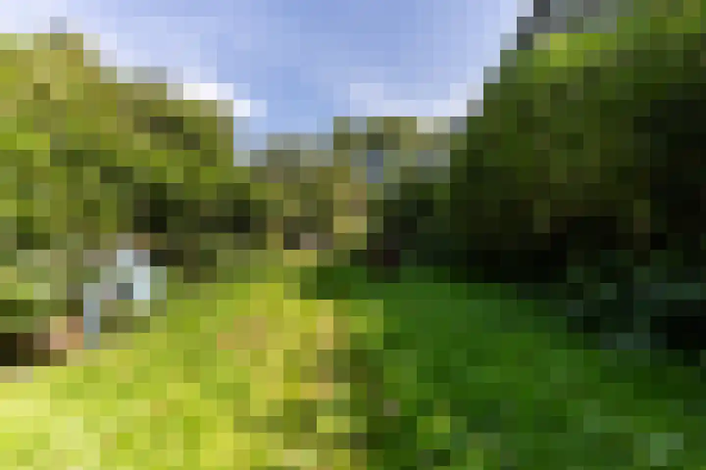 Zwinweg 22 Anna Paulowna thumbnail 68