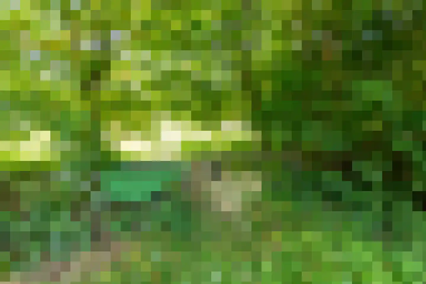 Zwinweg 22 Anna Paulowna thumbnail 69