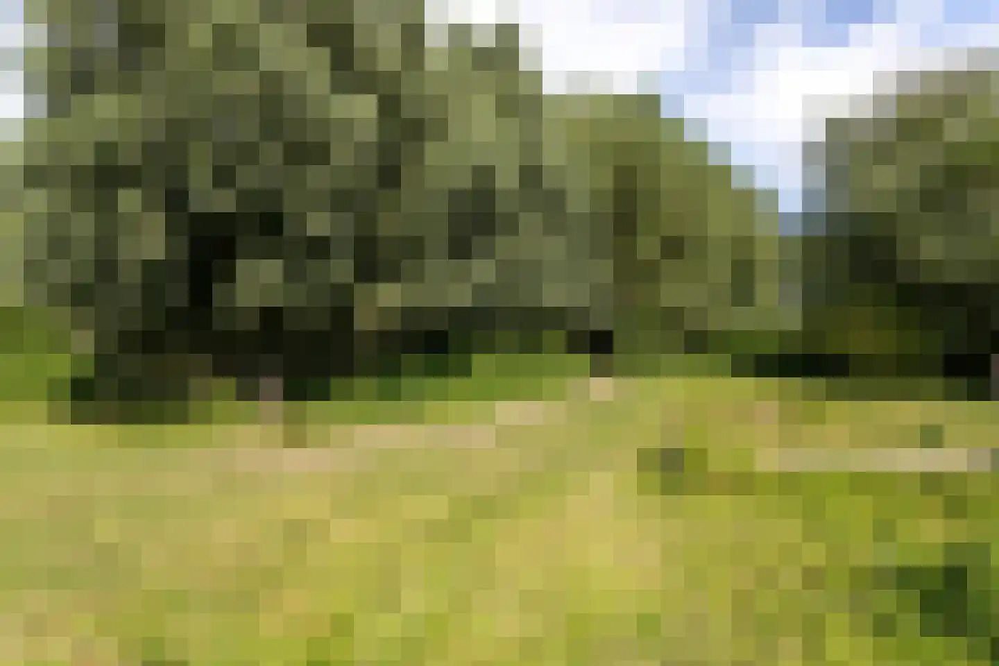 Zwinweg 22 Anna Paulowna thumbnail 79