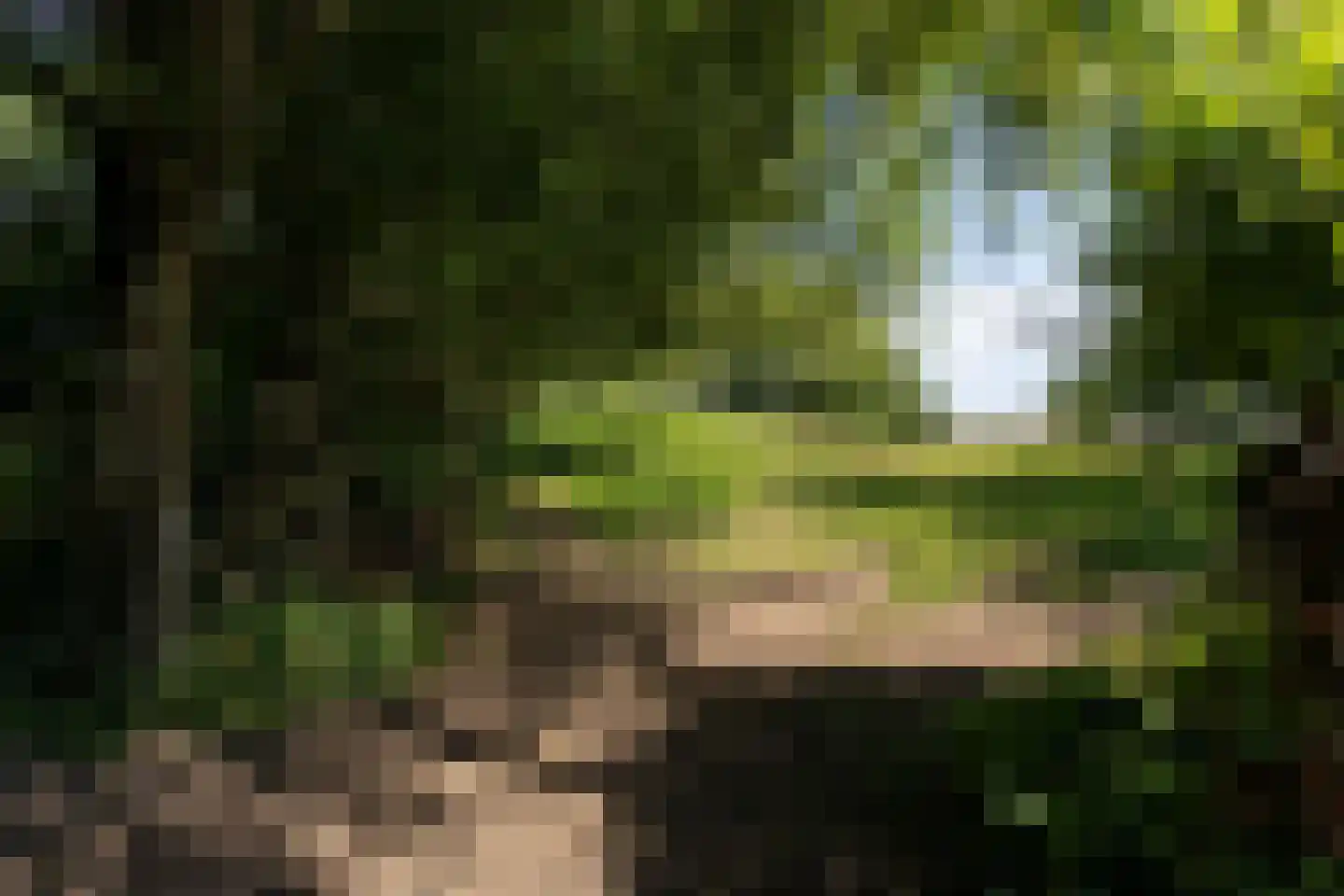 Zwinweg 22 Anna Paulowna thumbnail 80