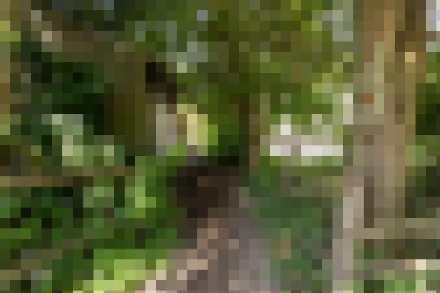 Zwinweg 22 Anna Paulowna thumbnail 81