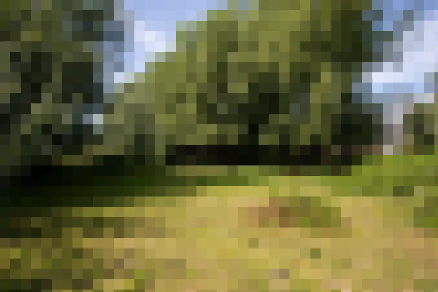 Zwinweg 22 Anna Paulowna thumbnail 82