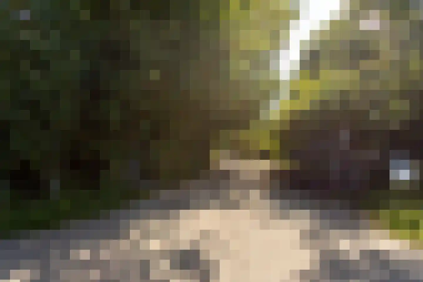 Zwinweg 22 Anna Paulowna thumbnail 84