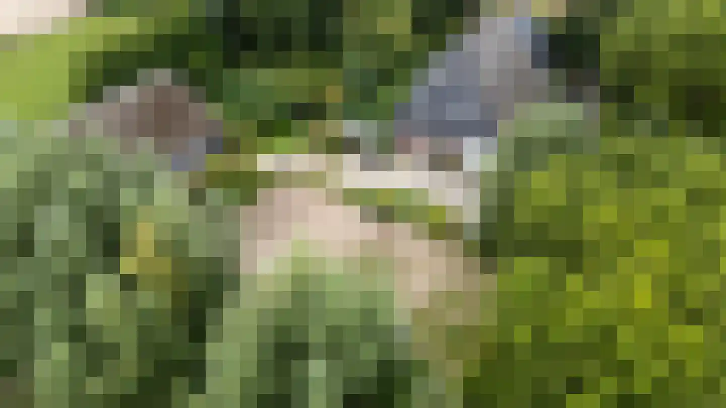 Zwinweg 22 Anna Paulowna thumbnail 92