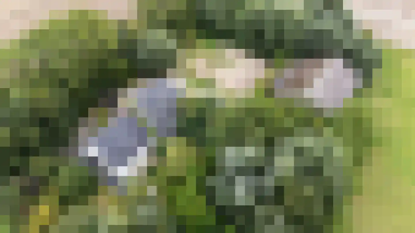 Zwinweg 22 Anna Paulowna thumbnail 94