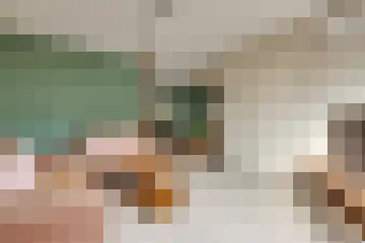 Zwitserlaan 6 Surhuisterveen thumbnail 11