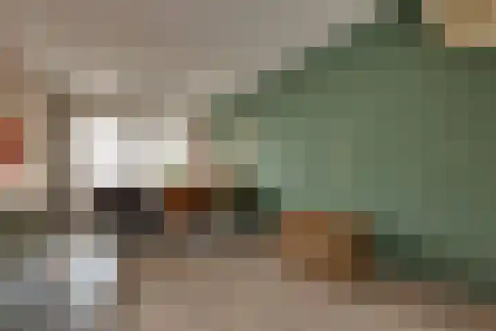 Zwitserlaan 6 Surhuisterveen thumbnail 13