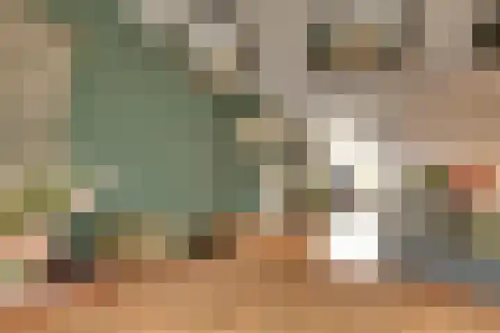 Zwitserlaan 6 Surhuisterveen thumbnail 16