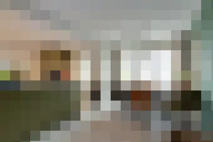Zwitserlaan 6 Surhuisterveen thumbnail 17