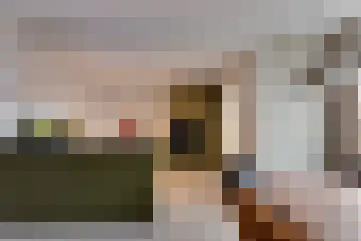 Zwitserlaan 6 Surhuisterveen thumbnail 18