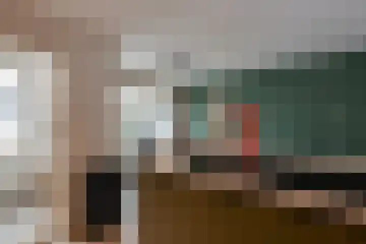 Zwitserlaan 6 Surhuisterveen thumbnail 21