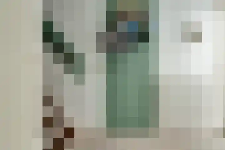 Zwitserlaan 6 Surhuisterveen thumbnail 23