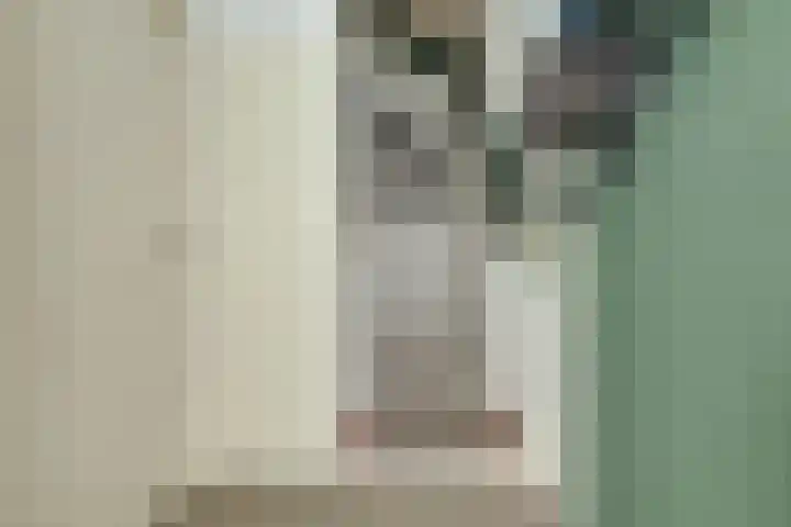 Zwitserlaan 6 Surhuisterveen thumbnail 24