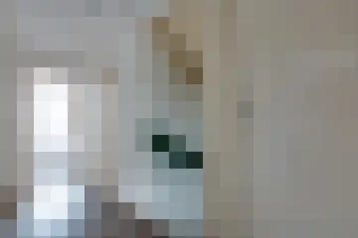 Zwitserlaan 6 Surhuisterveen thumbnail 25
