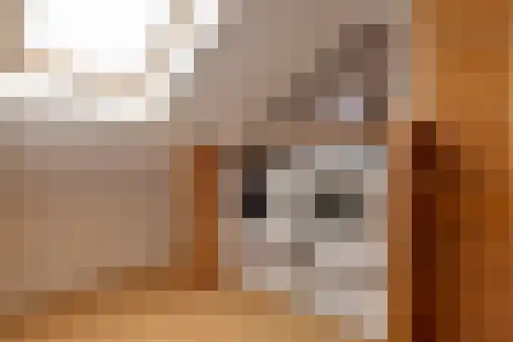 Zwitserlaan 6 Surhuisterveen thumbnail 40