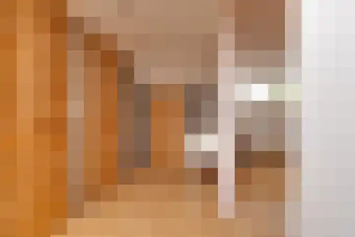 Zwitserlaan 6 Surhuisterveen thumbnail 41