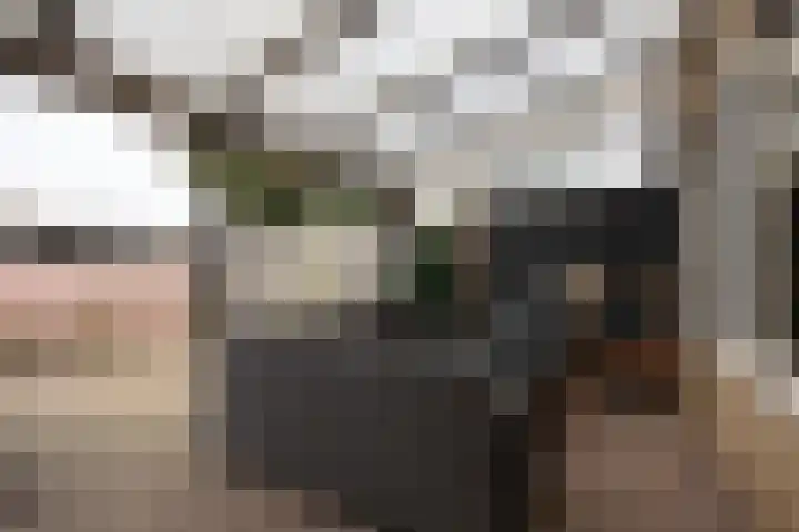 Zwitserlaan 6 Surhuisterveen thumbnail 42