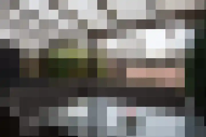 Zwitserlaan 6 Surhuisterveen thumbnail 43