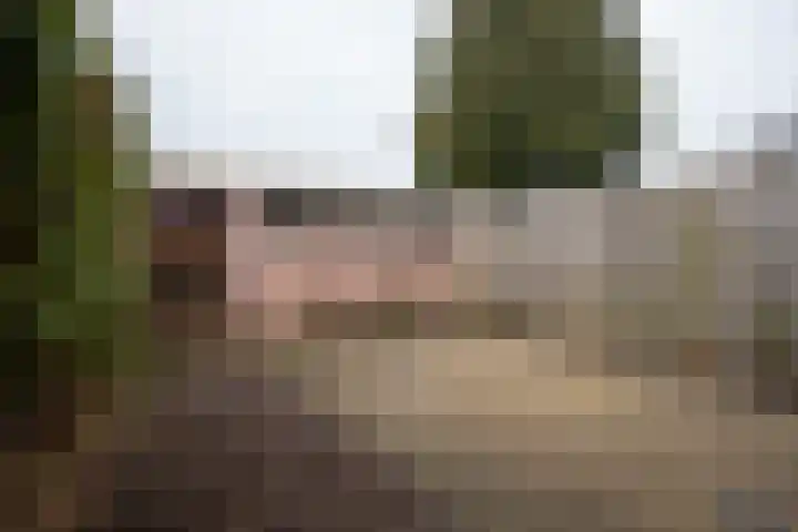 Zwitserlaan 6 Surhuisterveen thumbnail 44
