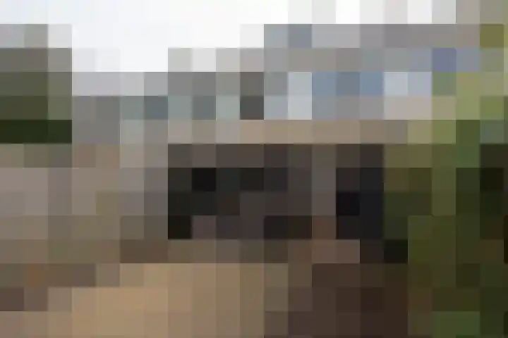 Zwitserlaan 6 Surhuisterveen thumbnail 45