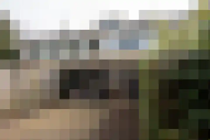 Zwitserlaan 6 Surhuisterveen thumbnail 47