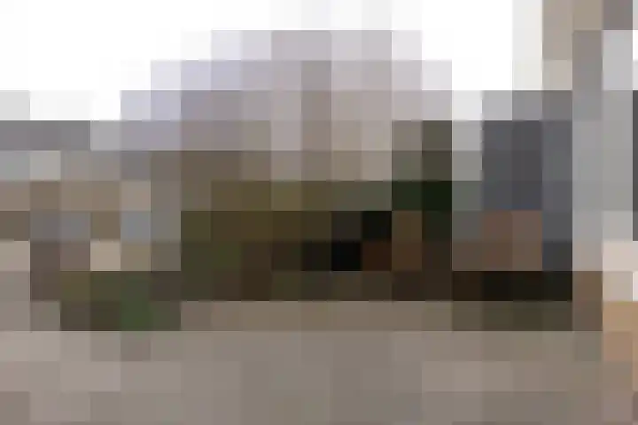Zwitserlaan 6 Surhuisterveen thumbnail 48