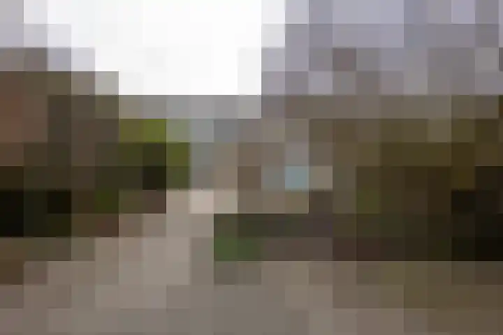 Zwitserlaan 6 Surhuisterveen thumbnail 49
