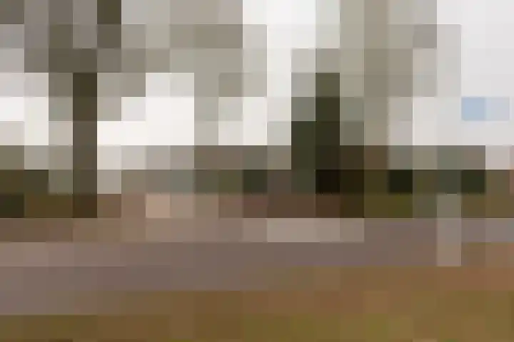 Zwitserlaan 6 Surhuisterveen thumbnail 50