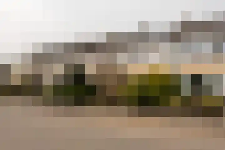 Zwitserlaan 6 Surhuisterveen thumbnail 51