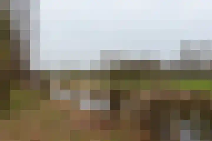 Zwitserlaan 6 Surhuisterveen thumbnail 52
