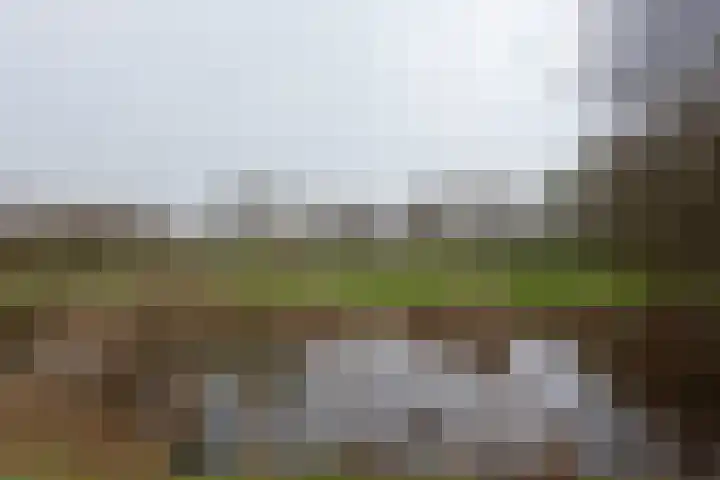 Zwitserlaan 6 Surhuisterveen thumbnail 53
